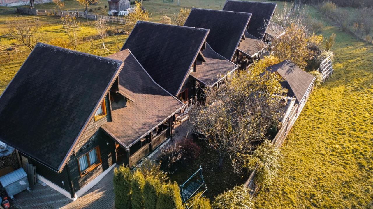 Pensiunea Galileo Borşa Exteriör bild