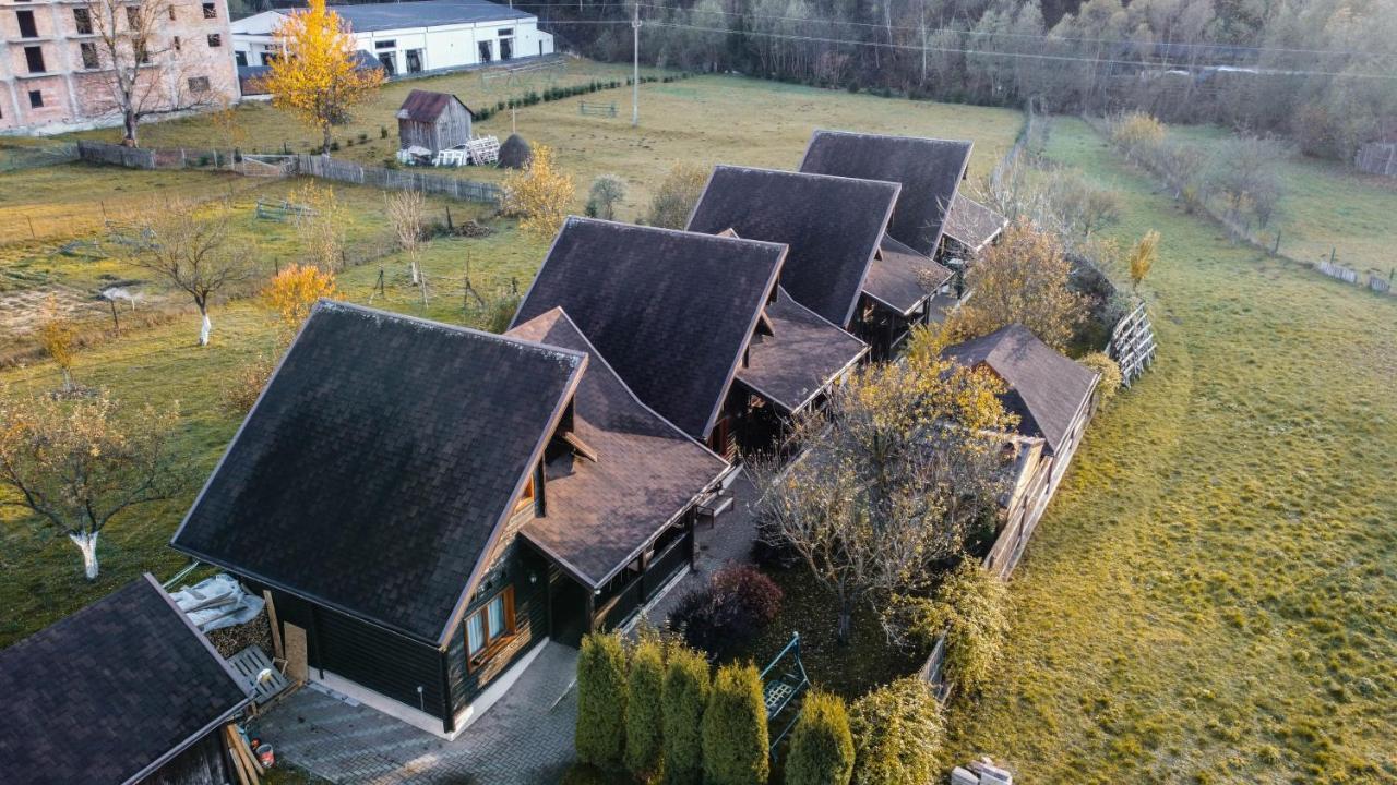Pensiunea Galileo Borşa Exteriör bild