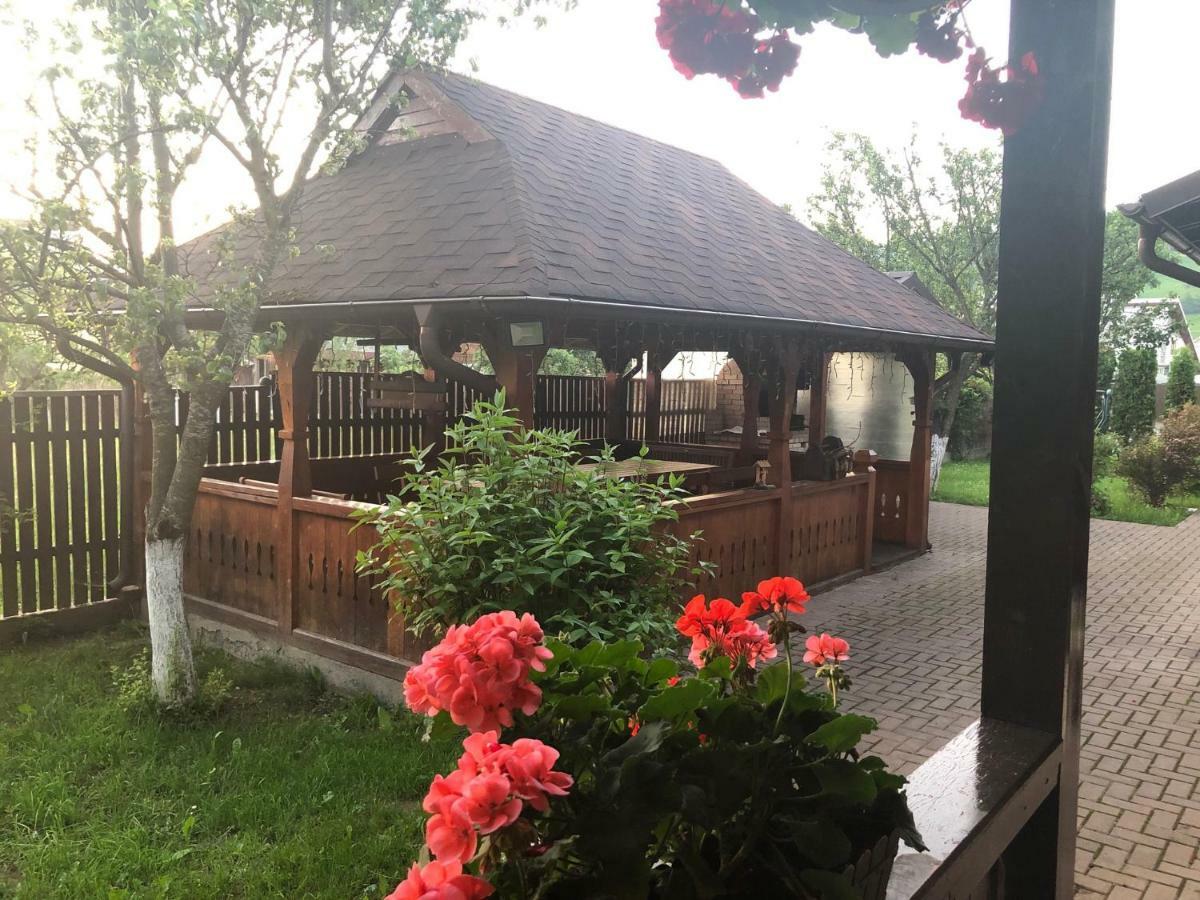 Pensiunea Galileo Borşa Exteriör bild